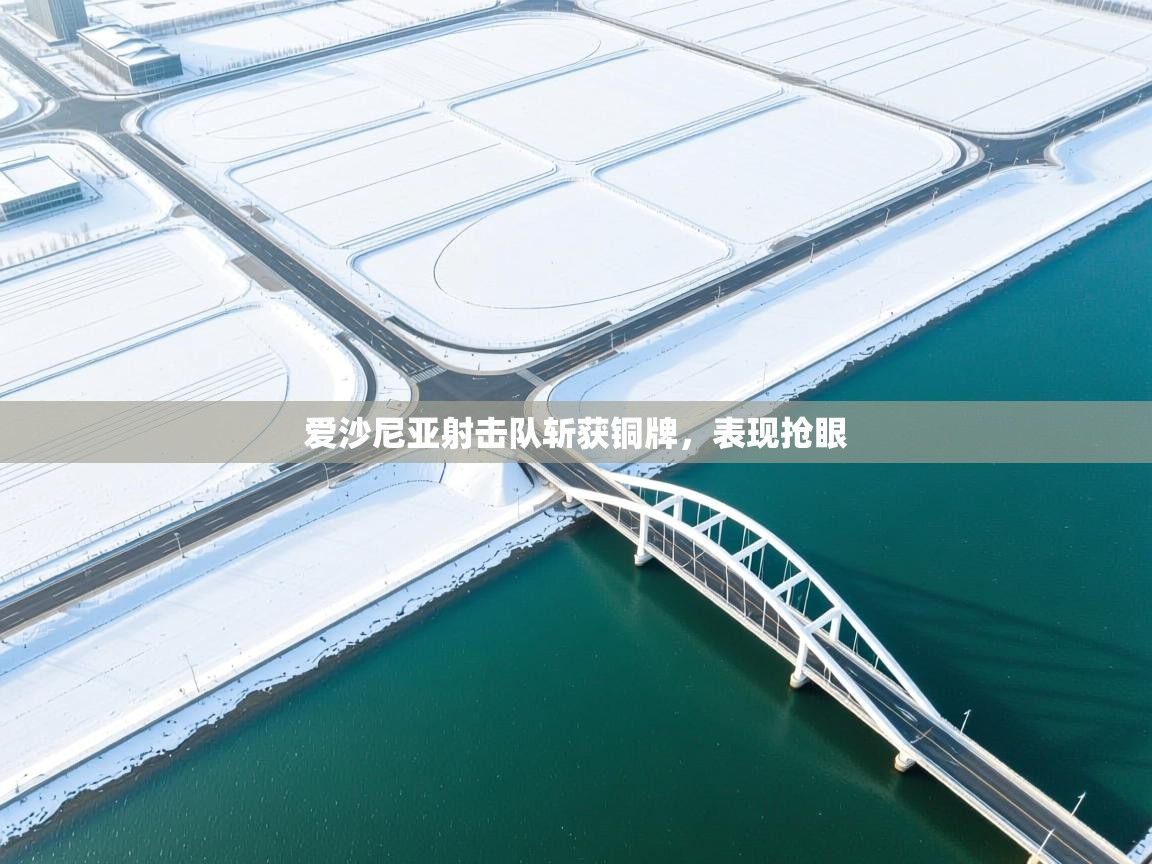 爱沙尼亚射击队斩获铜牌,表现抢眼 第2张